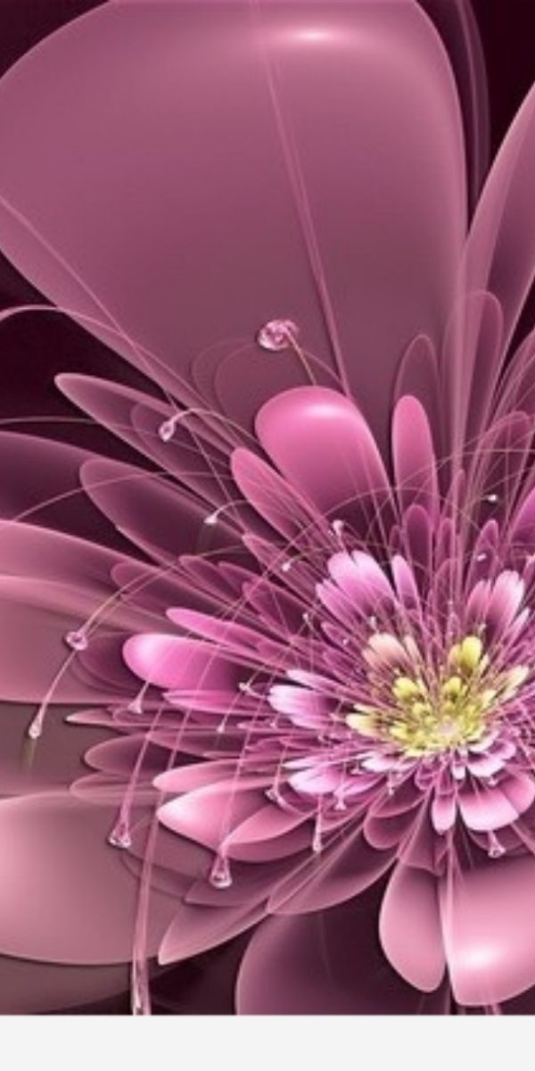 Những tác phẩm hình nền hoa đẹp cho iPhone đang chờ đón bạn để tạo nên một màn hình điện thoại đẹp mắt và ấn tượng. Hãy đến và trải nghiệm sự khác biệt của kho ảnh hưởng nền hoa này để tìm thấy niềm vui và sự thỏa mãn.