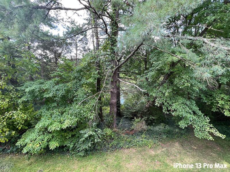 Hình chụp của iPhone 13 Pro Max