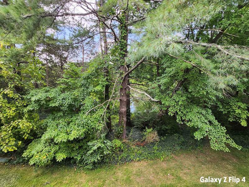 Hình chụp của Samsung Galaxy Z Flip4