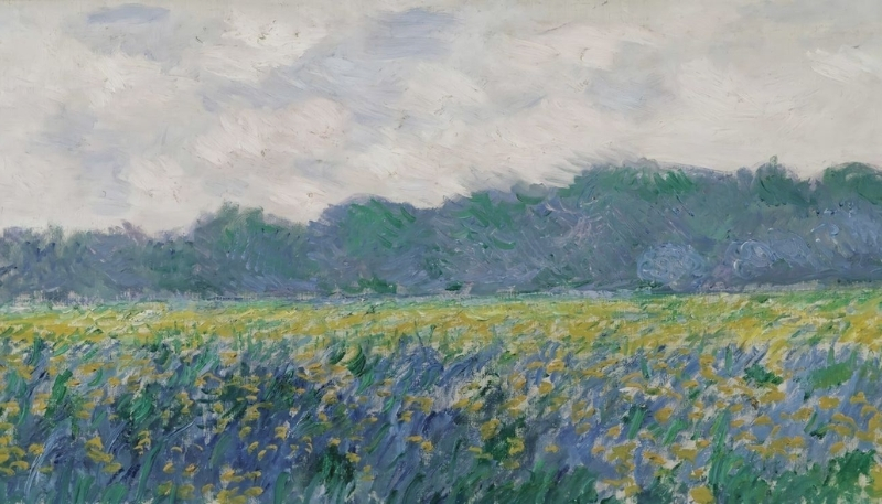 ảnh nền ipados 26 đồng cỏ bình yên