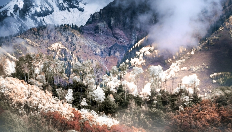 ảnh nền ipados 26 thiên nhiên buồn