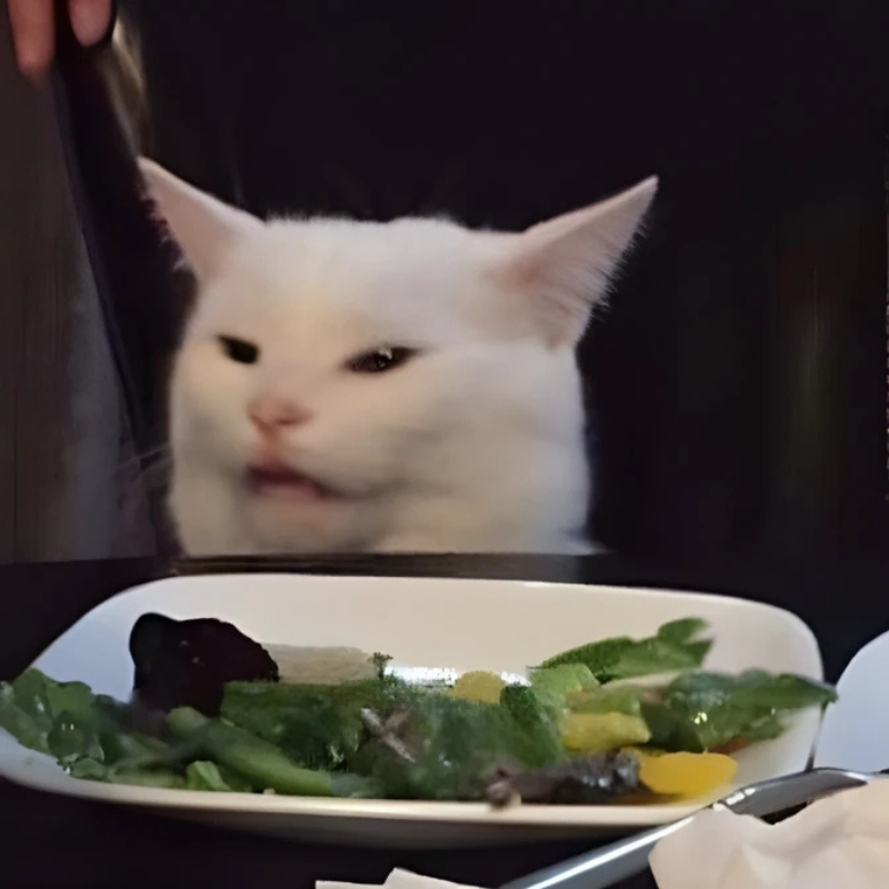 meme mèo biểu cảm ấn tượng