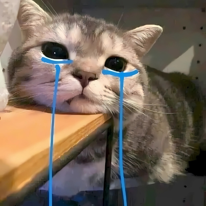 meme mèo buồn đẹp nhất