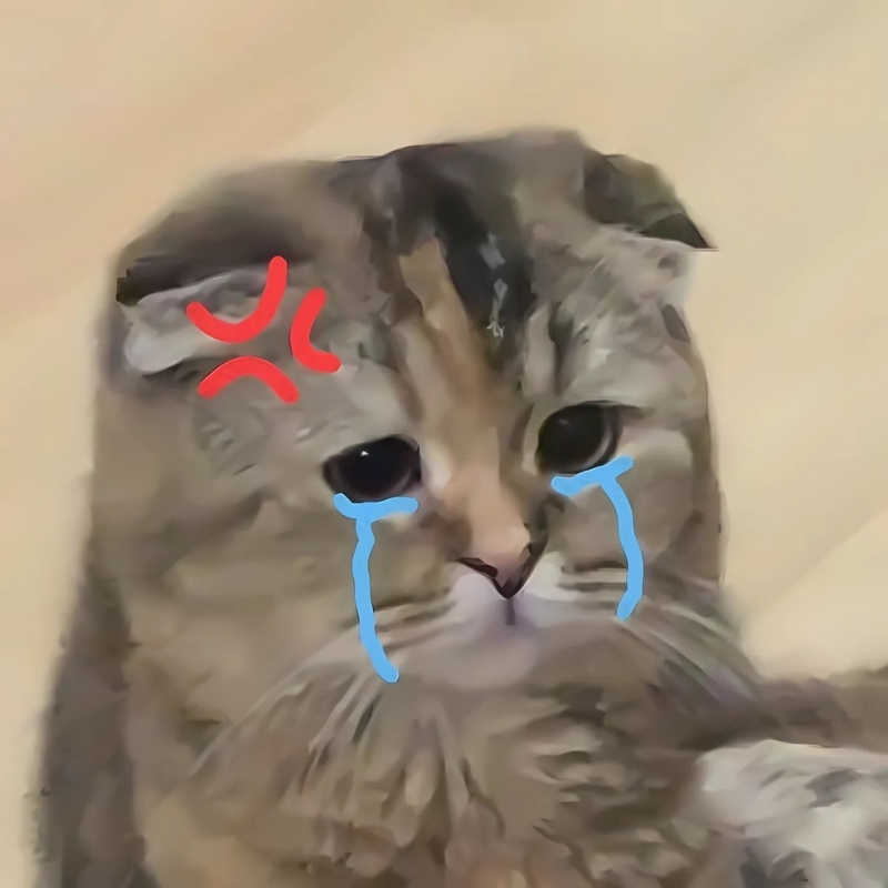 meme mèo buồn hài hước