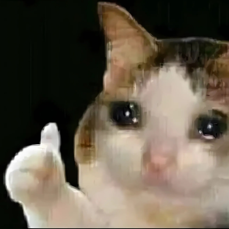 meme mèo buồn tinh tế