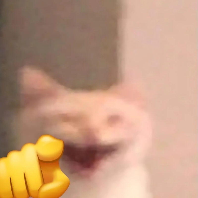 meme mèo cười chỉ tay cực đẹp