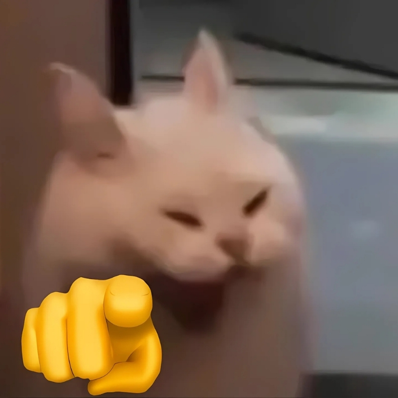 meme mèo cười chỉ tay màu sắc