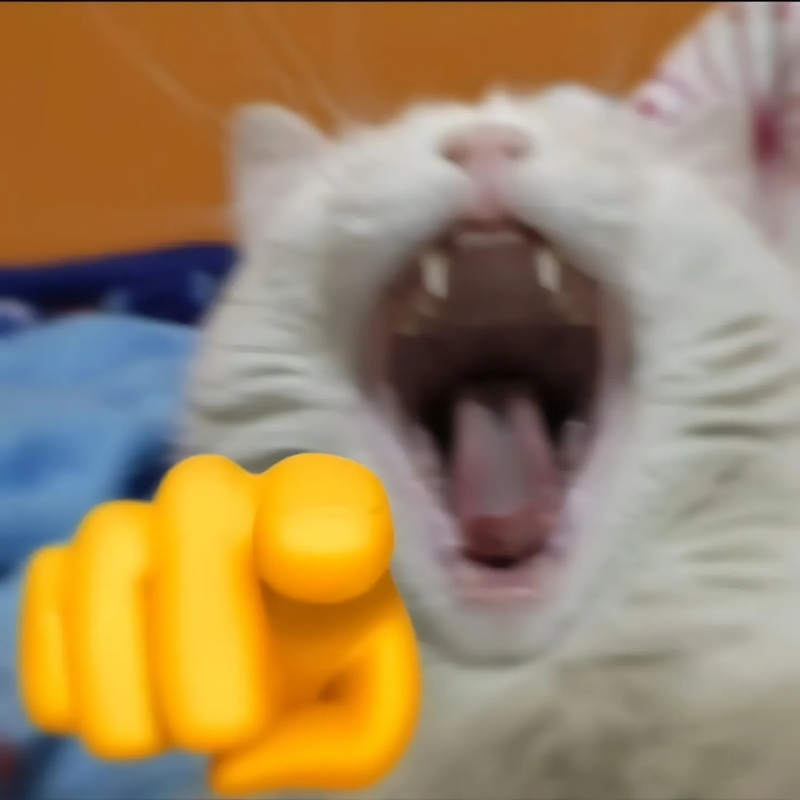 meme mèo cười chỉ tay thú vị