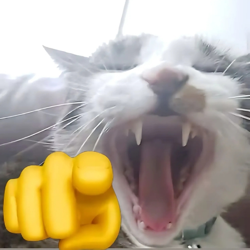 meme mèo cười chỉ tay tinh tế