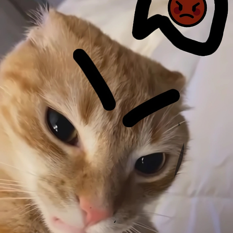 meme mèo dễ thương vui vẻ