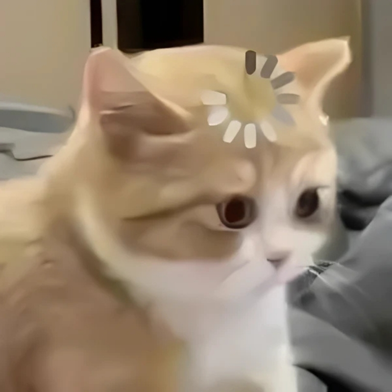 meme mèo hài hước xinh xắn