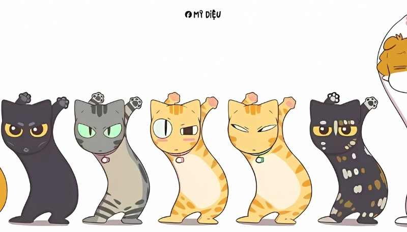 ảnh nền cute mèo meme