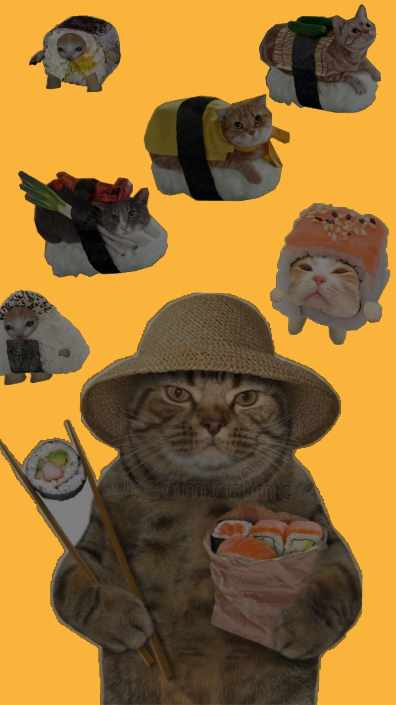 ảnh nền điện thoại mèo meme 3