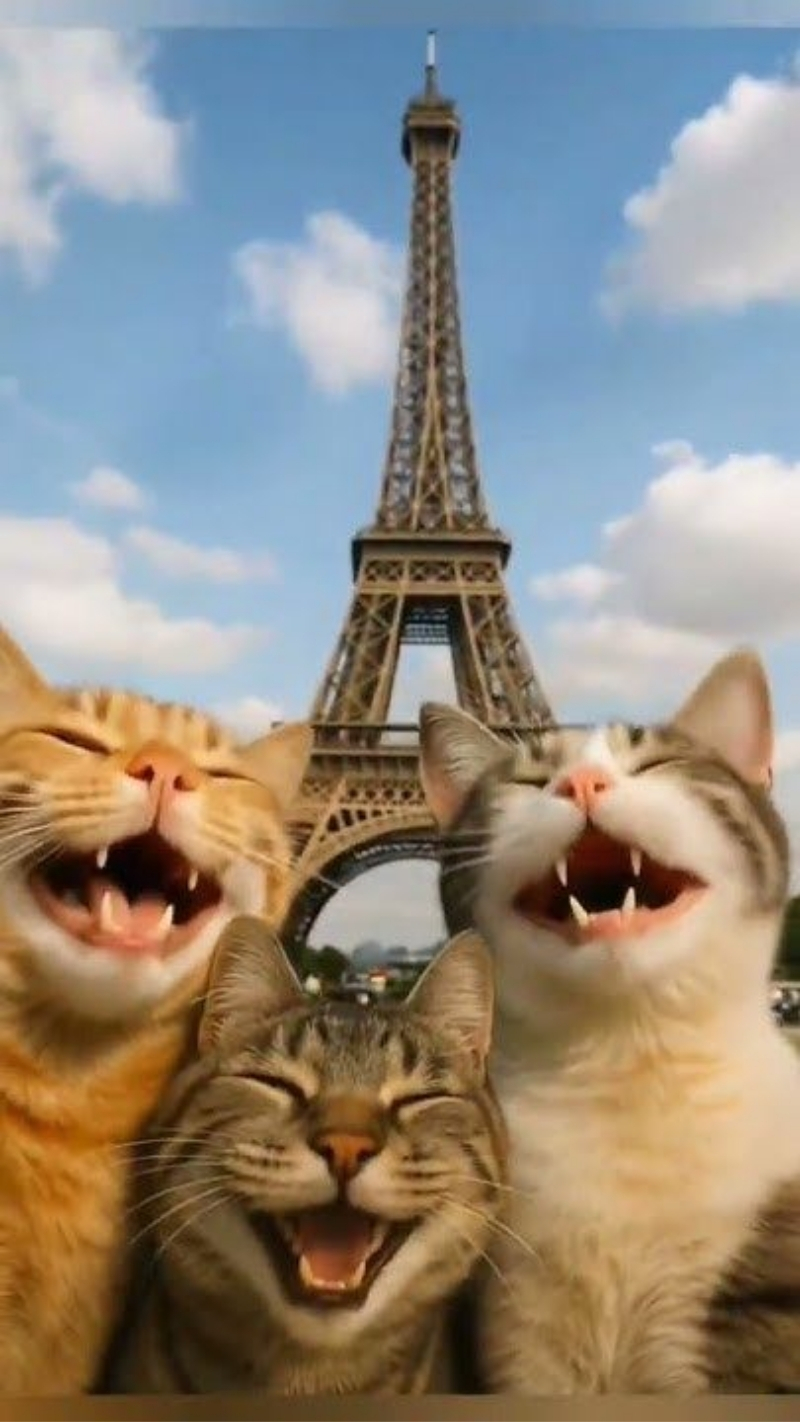 ảnh nền điện thoại cute thú cưng dễ thương