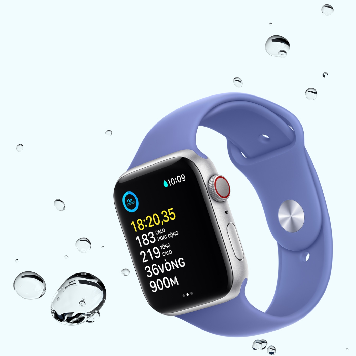 apple watch se 2024 thiết kế sang trọng