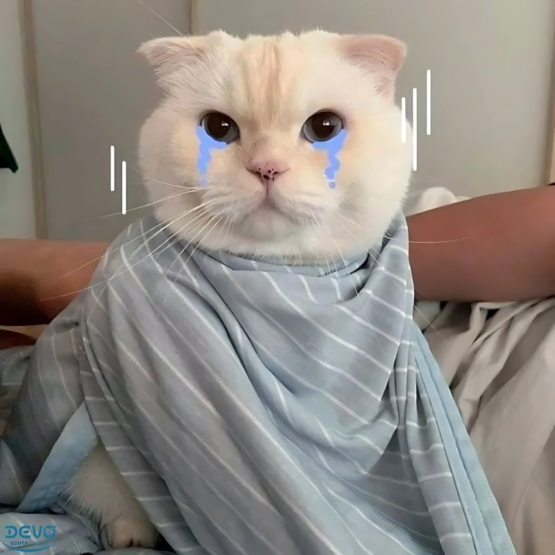 ảnh đại diện meme hài hước