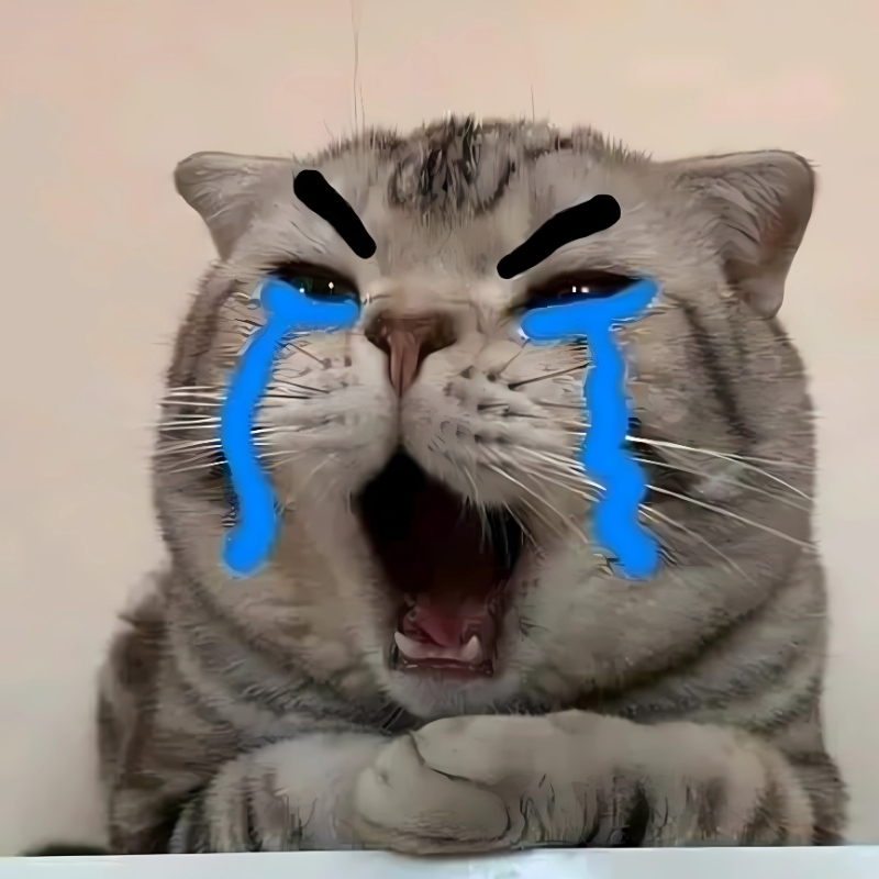 avatar facebook đẹp con mèo cute