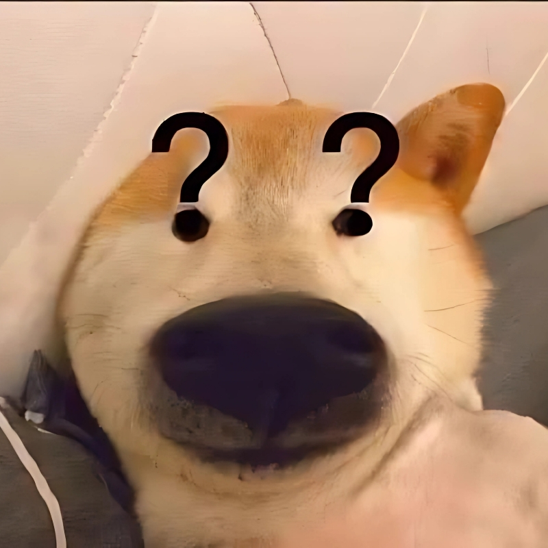 hình avatar con chó meme