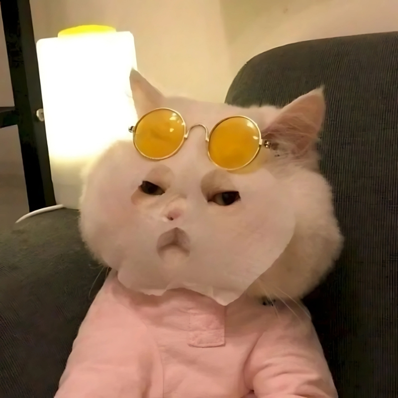 hình đại diện meme chế