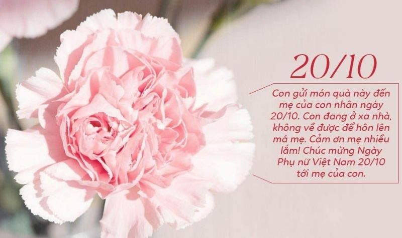 Hình ảnh 20/10 tặng mẹ 6