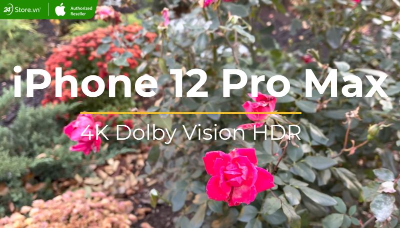 Video 4K Dolby Vision HDR trên iPhone 12 Pro Max