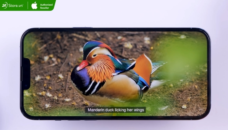 Kiểm tra hiệu năng 13 Pro Max cũ