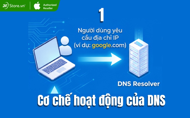 dns resolver