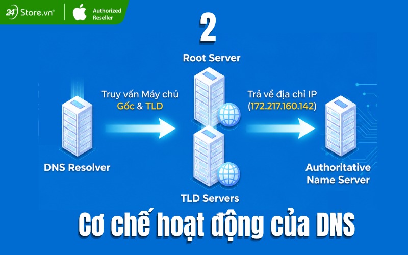 truy vấn hệ thống máy chủ