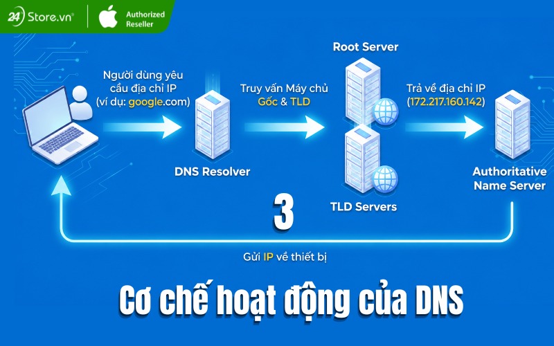 trả địa chỉ ip