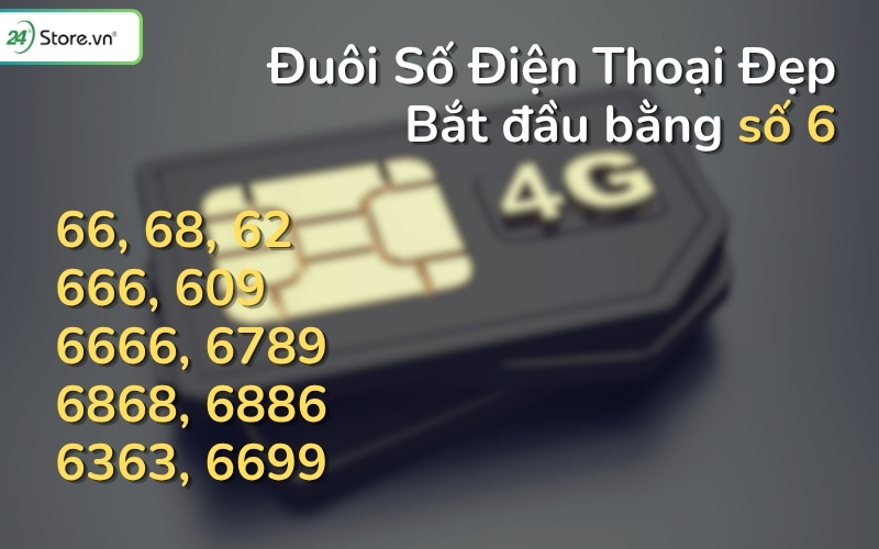 đuôi số điện thoại đẹp bắt đầu bằng số 6