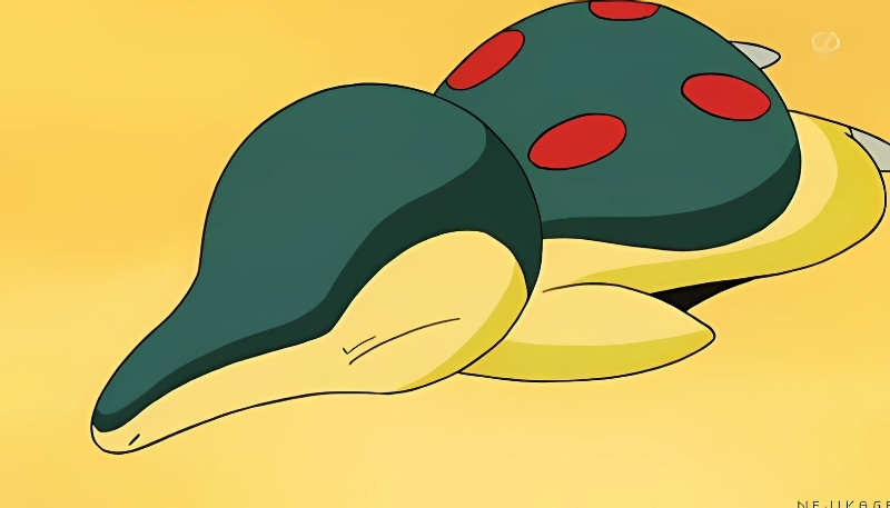 hình ảnh pokemon tsutarja
