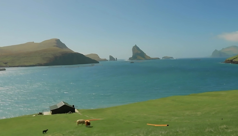 động vật năng động