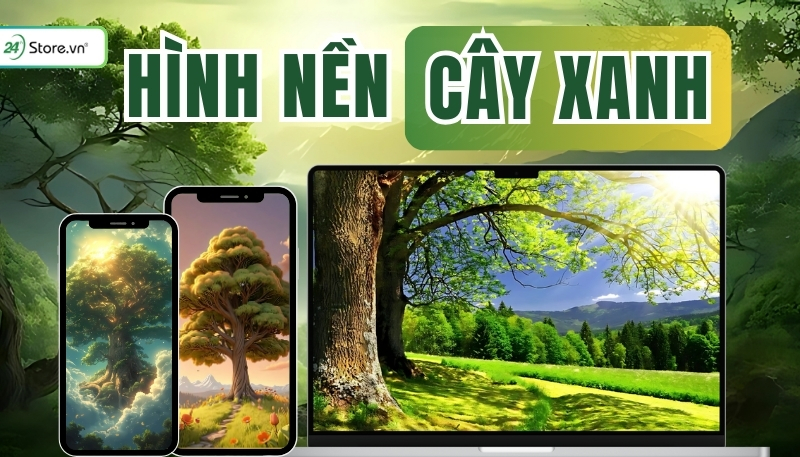 hình nền cây xanh đẹp nhất 2025