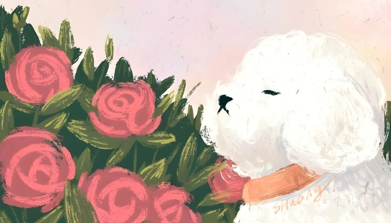 ảnh nền con chó dễ thương cute