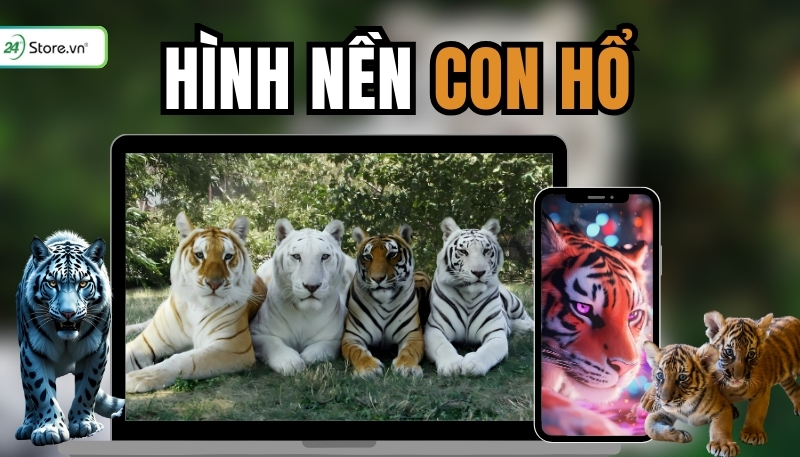 hình nền con hổ 4k sắc nét