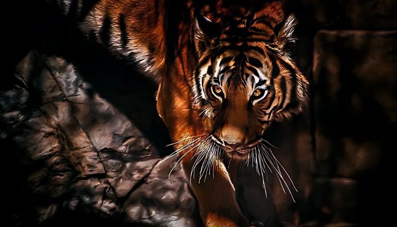 Tải hình nền con hổ mạnh mẽ siêu ngầu