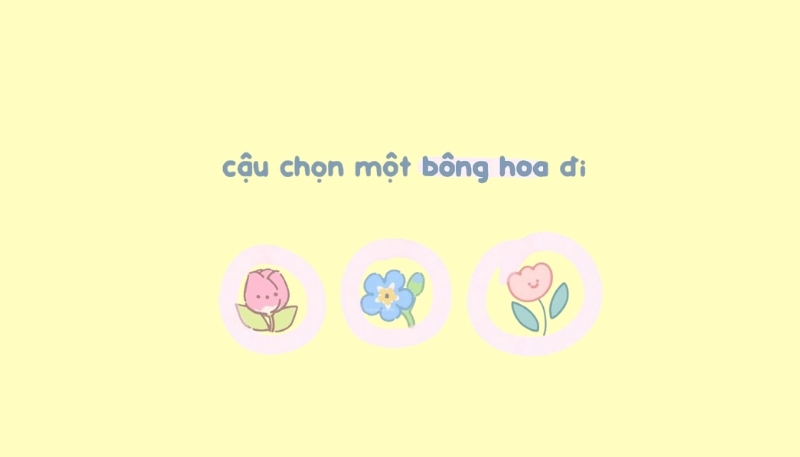 ảnh nền cute có chữ cậu chọn một bông hoa đi