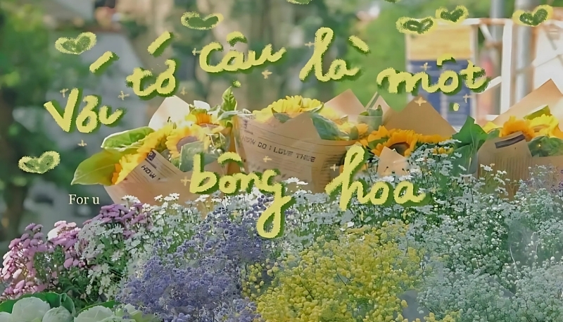 ảnh nền cute có chữ cậu là một bông hoa