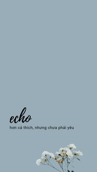 ảnh nền cute có chữ echo tình yêu