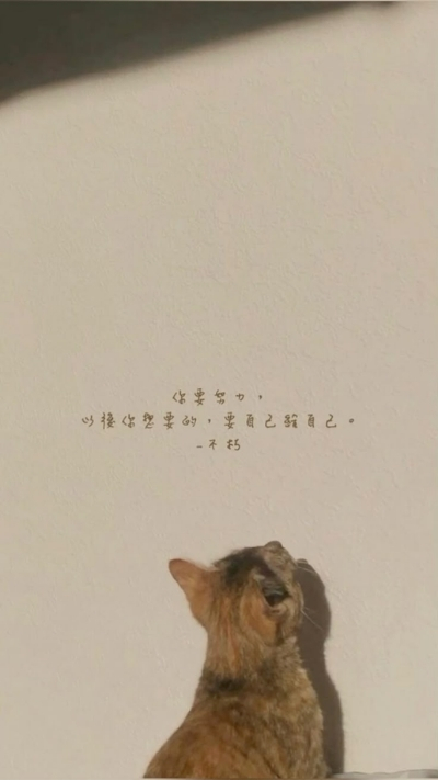 ảnh nền cute có chữ mèo lười dễ thương