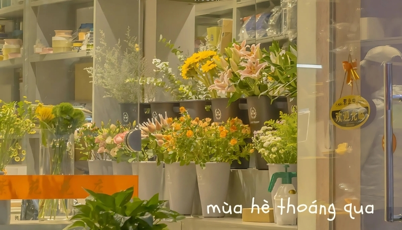 ảnh nền cute có chữ mùa hè thoáng qua