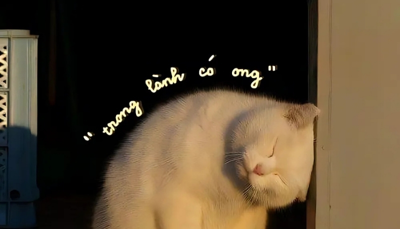 ảnh nền cute có chữ trong lòng có anh