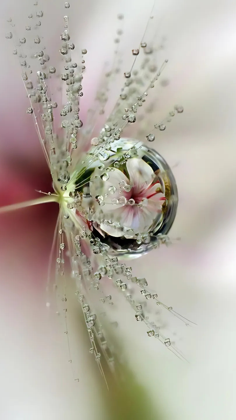 hình nền động giọt nước