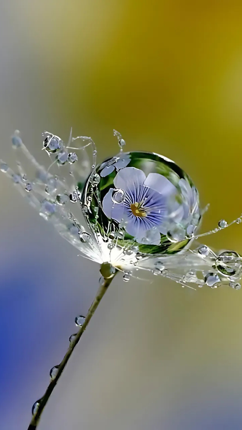 hình nền giọt nước đẹp