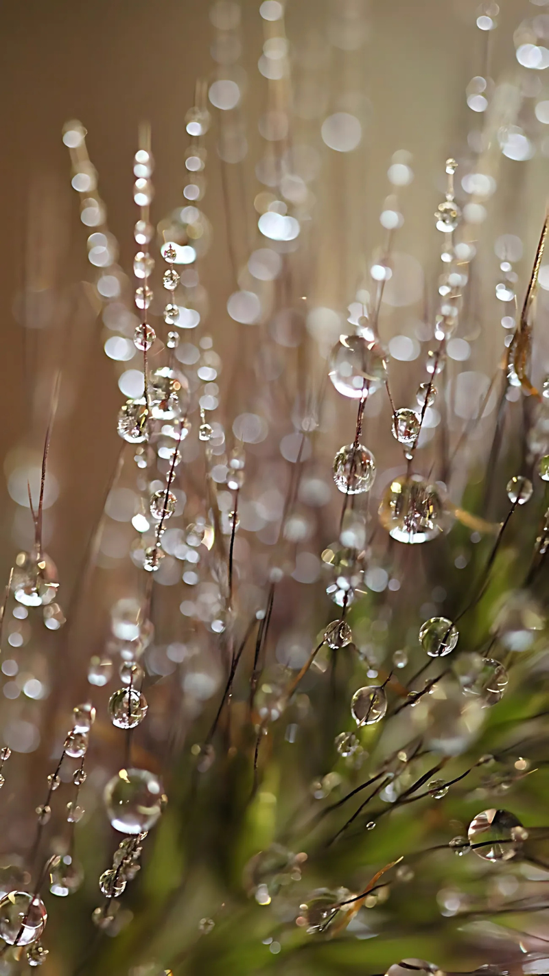 hình nền giọt nước cho điện thoại