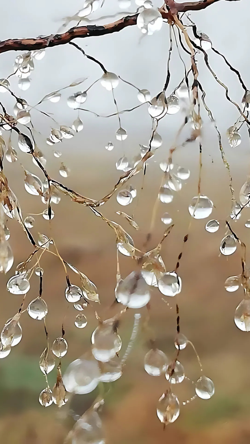hình nền giọt nước cho điện thoại
