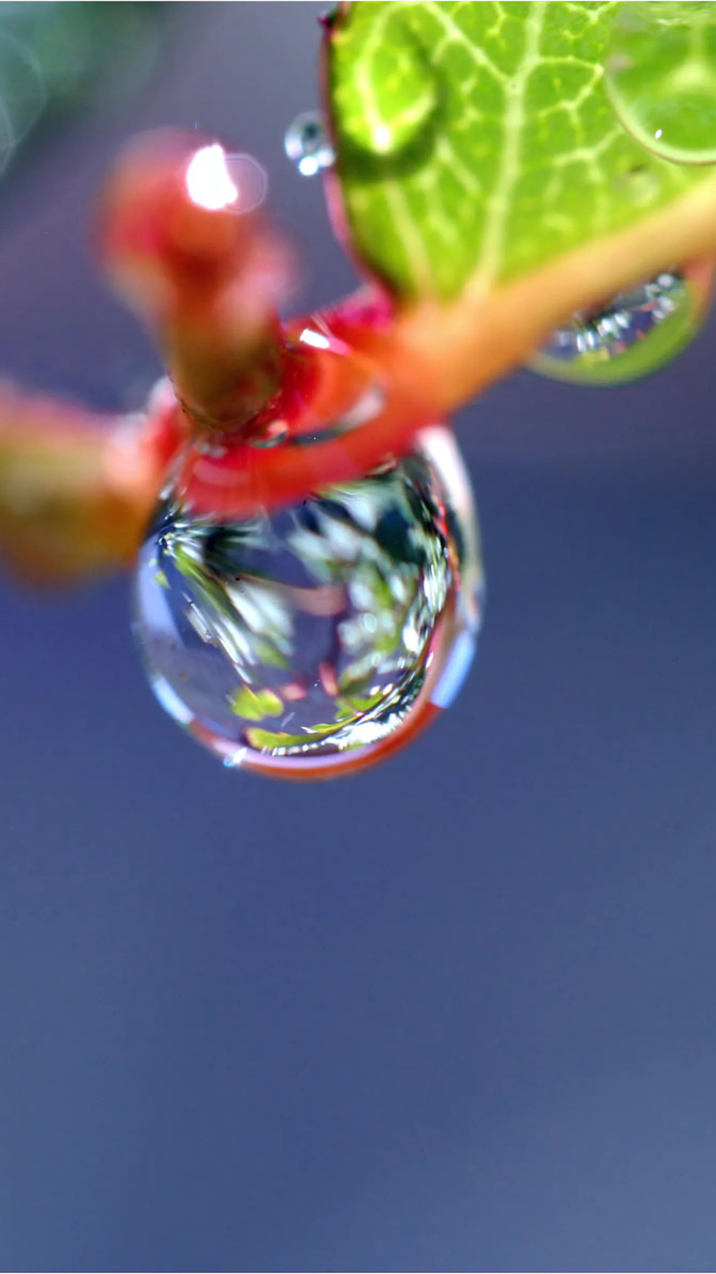 hình nền giọt nước buồn