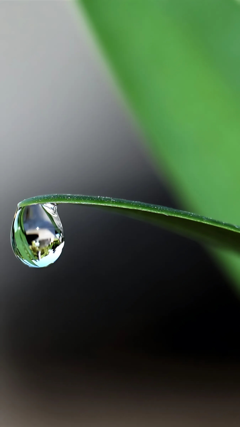hình nền cho điện thoại có màn hình giọt nước