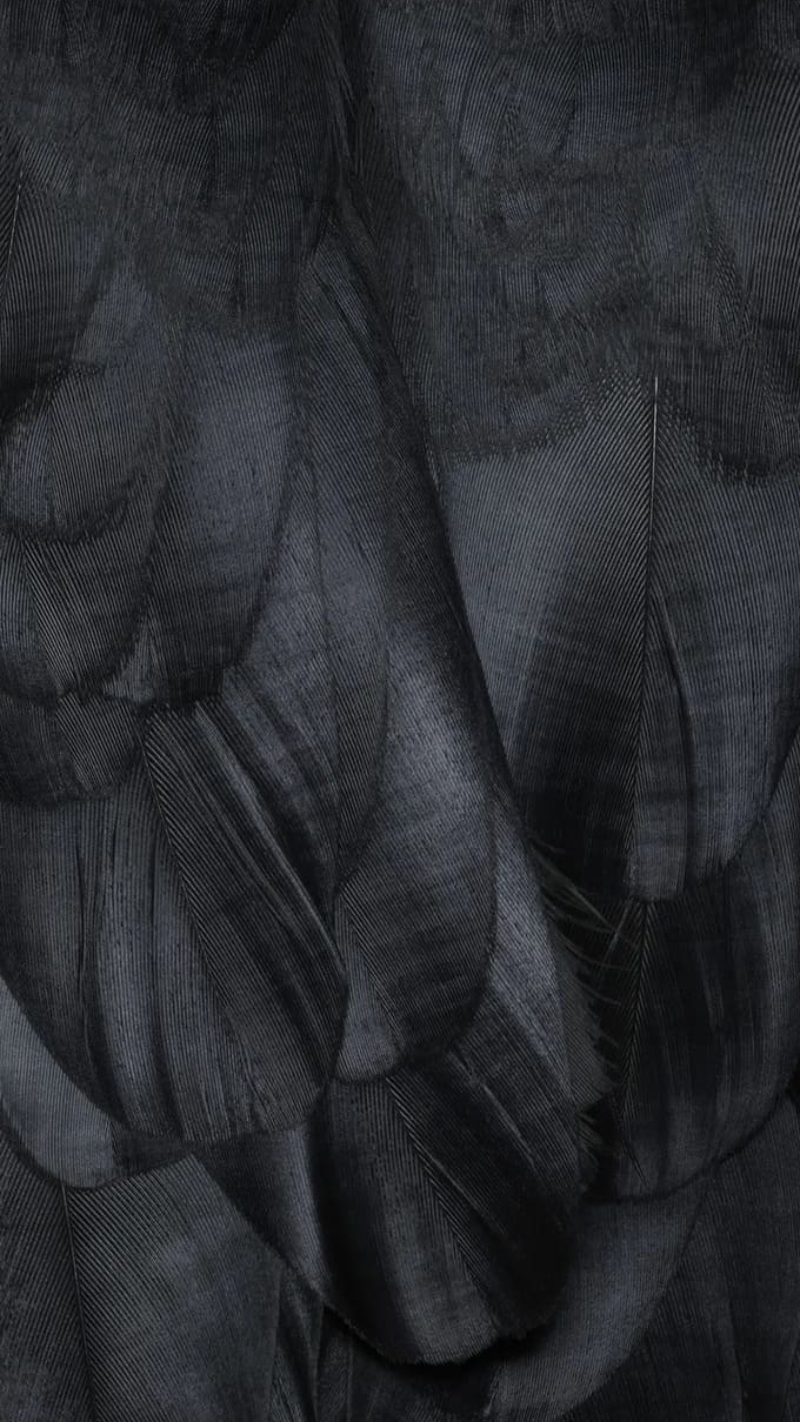 hình nền google pixel 7 đẹp nhất