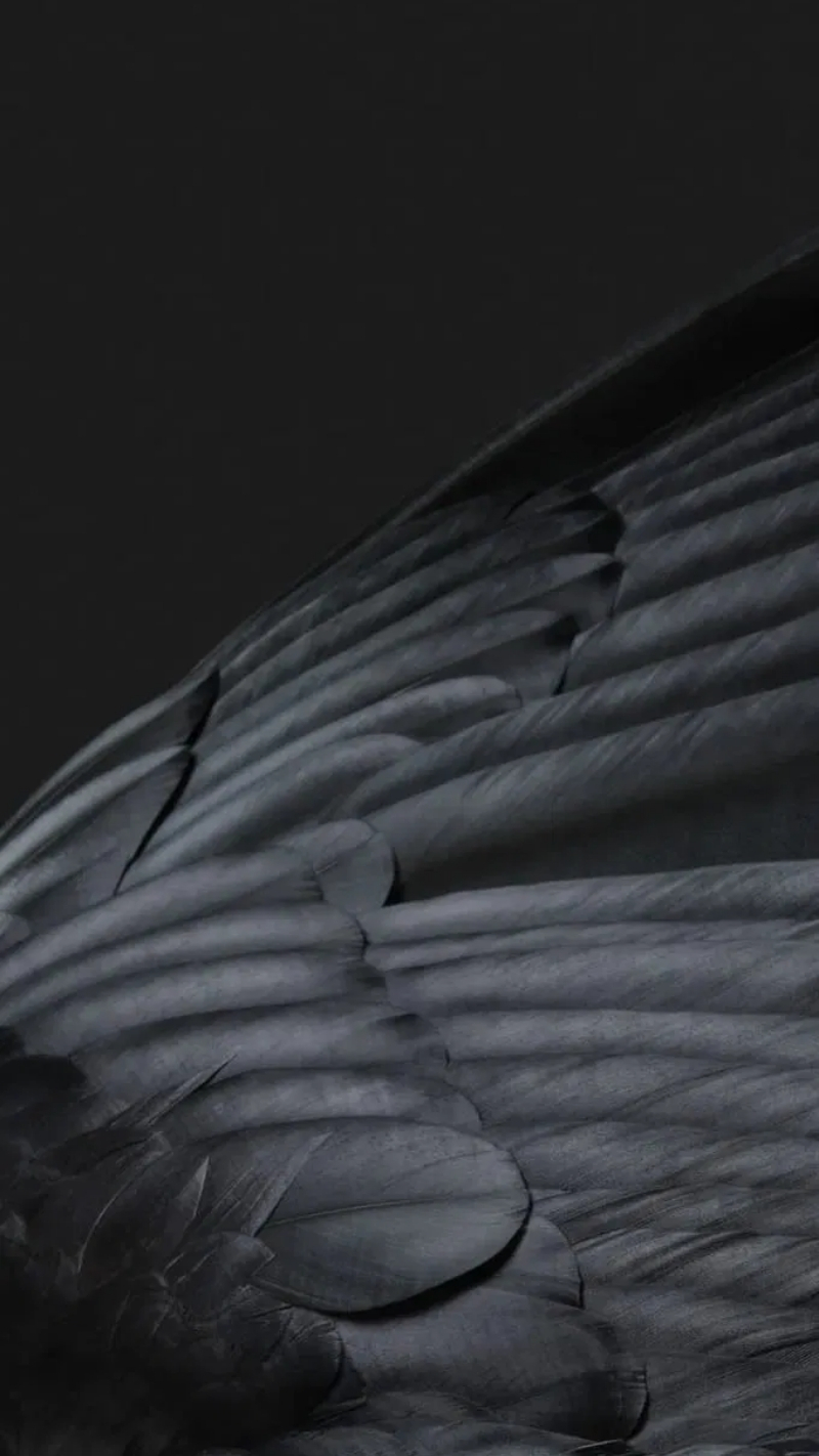 hình nền google pixel 7 sang chảnh